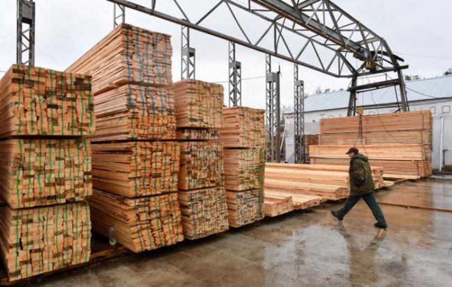 Из Коми с начала года отправлено на экспорт порядка 400 тысяч кубометров лесопродукции